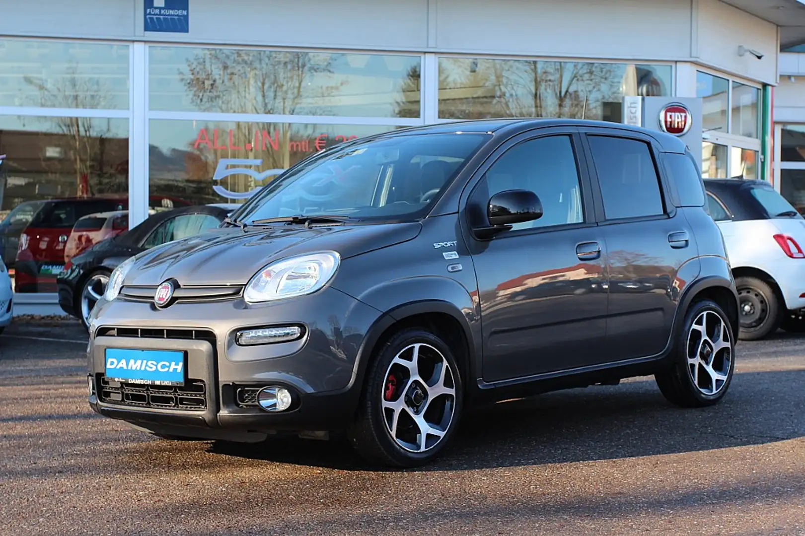 Fiat Panda 4x2 FireFly Hybrid 70 Sport Grau - 1