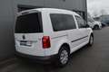Volkswagen Caddy PKW Trendline BMT Blanc - thumbnail 10