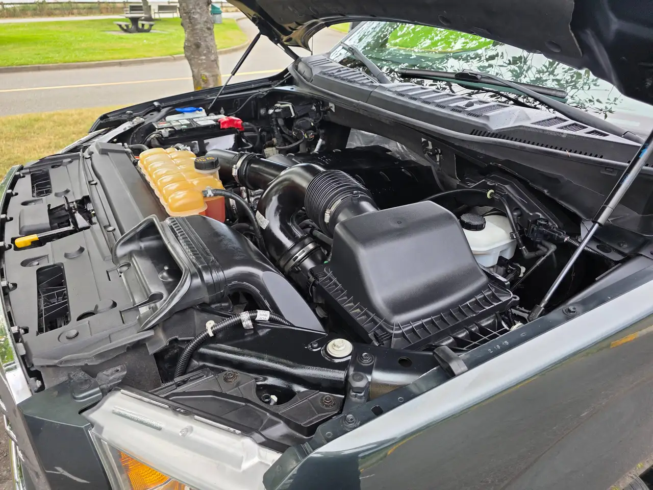 Ford F 150 photo Ford F 150