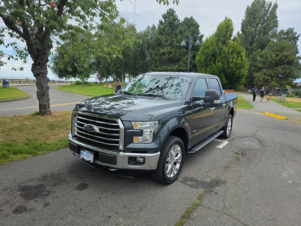 2015 Ford F 150
