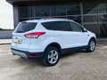 Ford Kuga 2.0 tdci Titanium 2wd 140cv Weiß - thumbnail 5