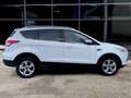 Ford Kuga 2.0 tdci Titanium 2wd 140cv Weiß - thumbnail 6