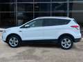 Ford Kuga 2.0 tdci Titanium 2wd 140cv Weiß - thumbnail 4