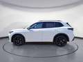 Volkswagen Tiguan 2.0 TDI DSG 4Motion R-Line AHK Navi Pano Weiß - thumbnail 3