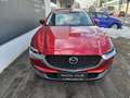 Mazda CX-30 e-Skyactive G140 Exclusive-Line Rot - thumbnail 2