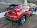 Mazda CX-30 e-Skyactive G140 Exclusive-Line Rot - thumbnail 6