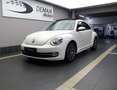Volkswagen Beetle 1.2 TSI Design DSG* Toit panoramique ouvrant* Weiß - thumbnail 1
