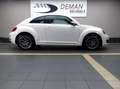 Volkswagen Beetle 1.2 TSI Design DSG* Toit panoramique ouvrant* White - thumbnail 13