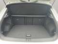 Volkswagen T-Roc 1.5 TSI, R-Line, DSG Weiß - thumbnail 9