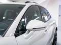 Porsche Macan 2.9 Turbo 441CV-TETTO-CERCHI 21-MATRIX-PASM Gris - thumbnail 28