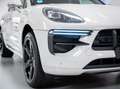 Porsche Macan 2.9 Turbo 441CV-TETTO-CERCHI 21-MATRIX-PASM Gris - thumbnail 29