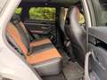 BYD Seal U DM-i PHEV 18,3kWh Boost 24.000€ Netto SUV Weiß - thumbnail 6