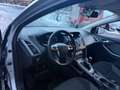Ford Focus Focus Traveller Trend 1,6 TDCi DPF Trend Silber - thumbnail 8