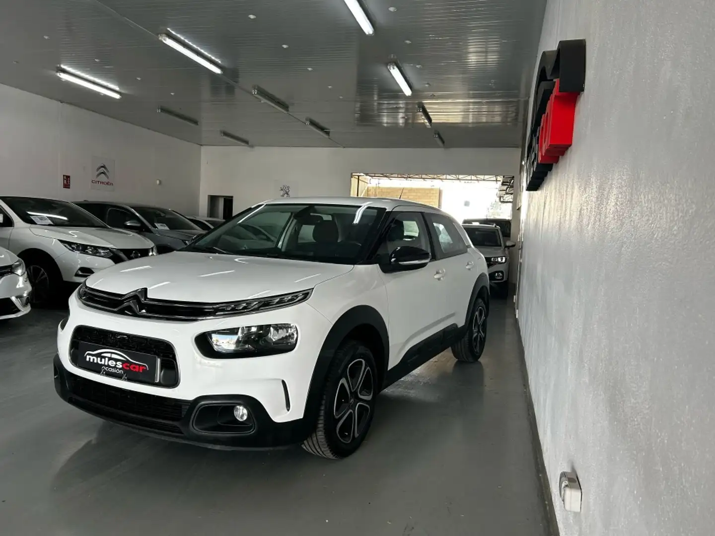 Citroen C4 Cactus 1.5BlueHDi S&S Feel 100 Blanco - 2