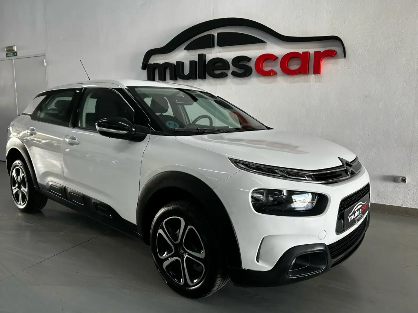 Citroen C4 Cactus 1.5BlueHDi S&S Feel 100 Blanco - 1