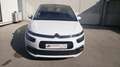 Citroen C4 PureTech 130 S&S Shine Blanco - thumbnail 2