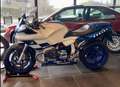 BMW R 1100 S Randy MAMOLA Blauw - thumbnail 1