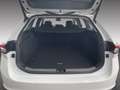 Skoda Superb Combi Selection 2.0 TDI DSG NAVI KAMERA Weiß - thumbnail 14