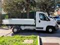 Fiat Ducato DUCATO 2.3JTD 130CV E5+ CABINATO P.MEDIO Bianco - thumbnail 4