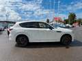 Mazda CX-60 Homura Plus Plug-In Hybrid AWD 327 PS Weiß - thumbnail 6