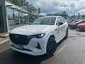 Mazda CX-60 Homura Plus Plug-In Hybrid AWD 327 PS Weiß - thumbnail 1