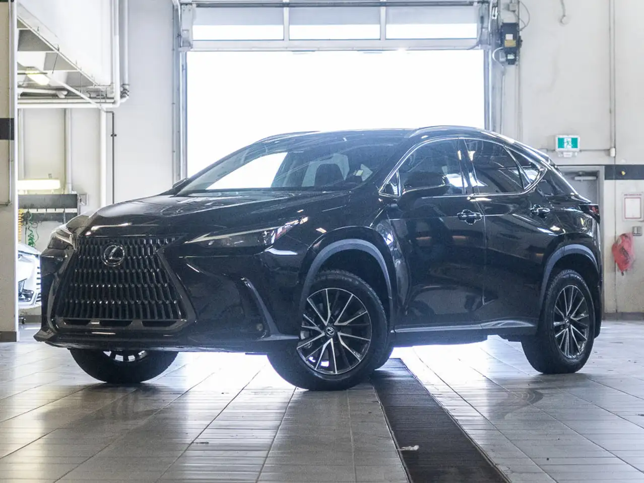 2024 Lexus NX