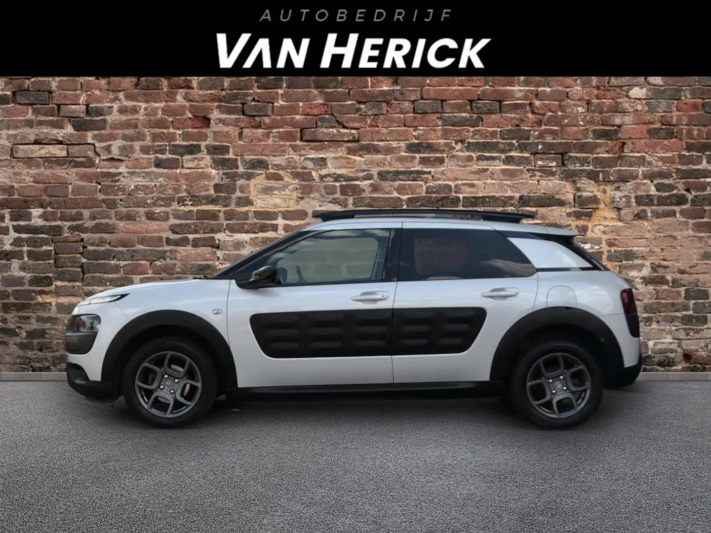Citroen C4 Cactus 1.2 PureTech Business Plus | Airco | NAV | Cruise Blanc - 2