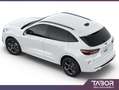 Ford Kuga 2.5 PHEV 243 eCVT ST-Line LED GPS Cam Blanc - thumbnail 3