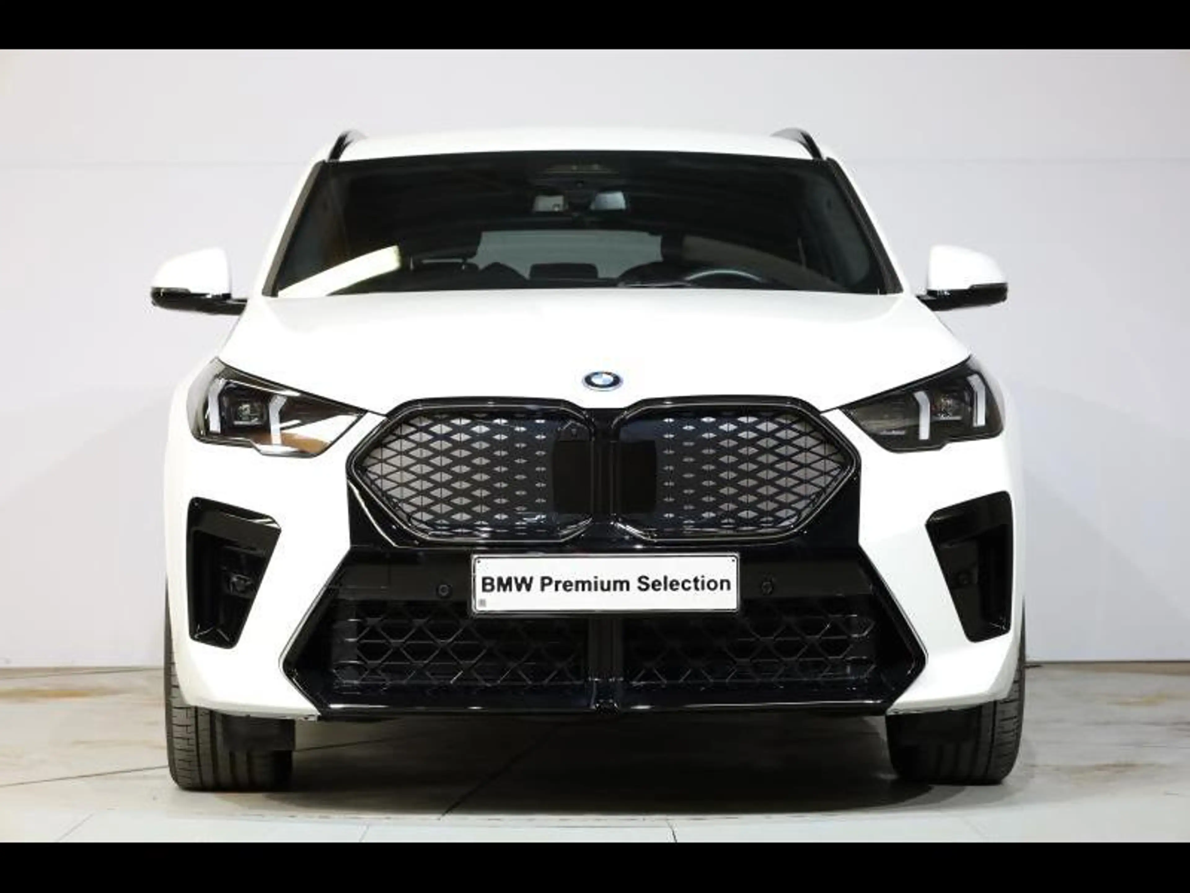 BMW iX2 eDrive20 Kit M Sport — photo 2
