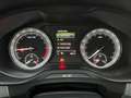 Skoda Kodiaq 2.0 TDI DSG*7 Sitze*LED*ACC*LaneAss*Kam* Bleu - thumbnail 14