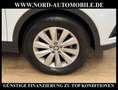 SEAT Arona XCELLENCE 1.0 TGI Navi/LED/SHZ/Kamera Xcellence White - thumbnail 12