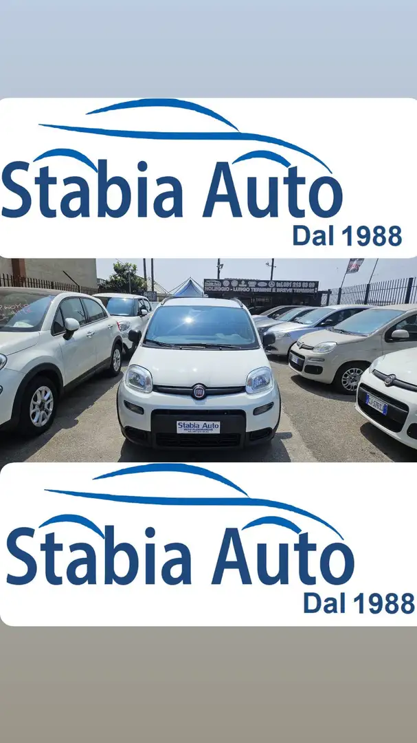 Fiat Panda 1.0 firefly hybrid s Bianco - 1