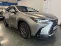 Lexus NX 450h+ Executive 4WD Gris - thumbnail 6