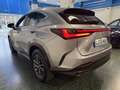 Lexus NX 450h+ Executive 4WD Gris - thumbnail 9