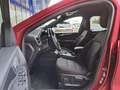 Ford Kuga 2.5 PHEV ST-Line 18'' LMV | Adaptief Cruise | LED Rot - thumbnail 17