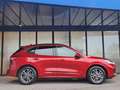 Ford Kuga 2.5 PHEV ST-Line 18'' LMV | Adaptief Cruise | LED Rot - thumbnail 4