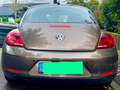 Volkswagen Beetle 1,2 TSI Design Braun - thumbnail 2