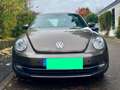 Volkswagen Beetle 1,2 TSI Design Braun - thumbnail 1