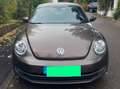 Volkswagen Beetle 1,2 TSI Design Braun - thumbnail 4