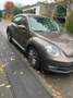 Volkswagen Beetle 1,2 TSI Design Braun - thumbnail 3