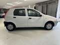 Fiat Punto Punto II 5p 1.2 Verve Bianco - thumbnail 6