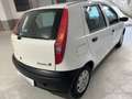 Fiat Punto Punto II 5p 1.2 Verve Bianco - thumbnail 5