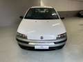 Fiat Punto Punto II 5p 1.2 Verve Bianco - thumbnail 8