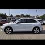 Audi Q5 40 TDI quattro S tronic advanced - thumbnail 8