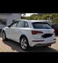 Audi Q5 40 TDI quattro S tronic advanced - thumbnail 10