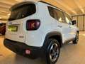 Jeep Renegade 1.6 Mjt 120 CV Longitude NEOPATENTATI Blanc - thumbnail 7