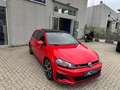Volkswagen Golf GTI Performance 2.0 245 CV DSG TETTO CERCHI 19" Rouge - thumbnail 11
