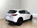 Mazda CX-5 CX-5 2.0 mhev Homura Comfort 2wd 165cv auto Blanco - thumbnail 4