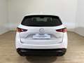 Mazda CX-5 CX-5 2.0 mhev Homura Comfort 2wd 165cv auto Blanco - thumbnail 5