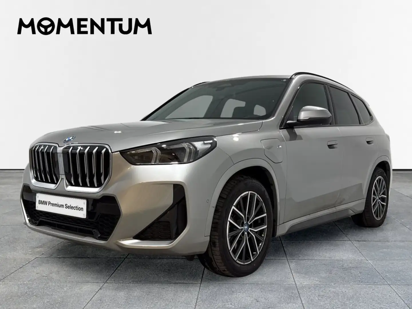 BMW X1 xDrive25eA Gris - 1